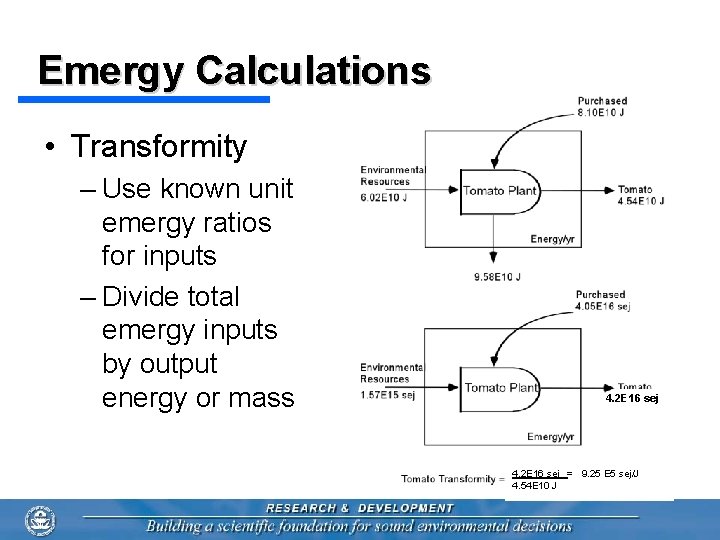 Emergy Calculations • Transformity – Use known unit emergy ratios for inputs – Divide