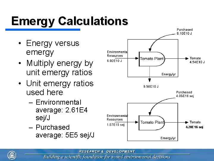 Emergy Calculations • Energy versus emergy • Multiply energy by unit emergy ratios •