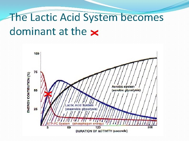 X The Lactic Acid System becomes dominant at the X 