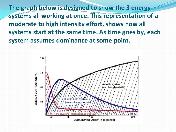 The graph below is designed to show the 3 energy systems all working at