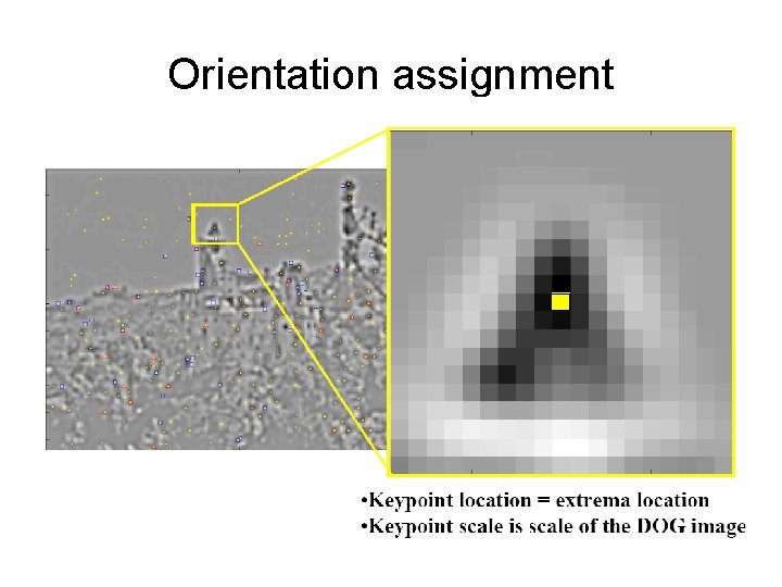 Orientation assignment 