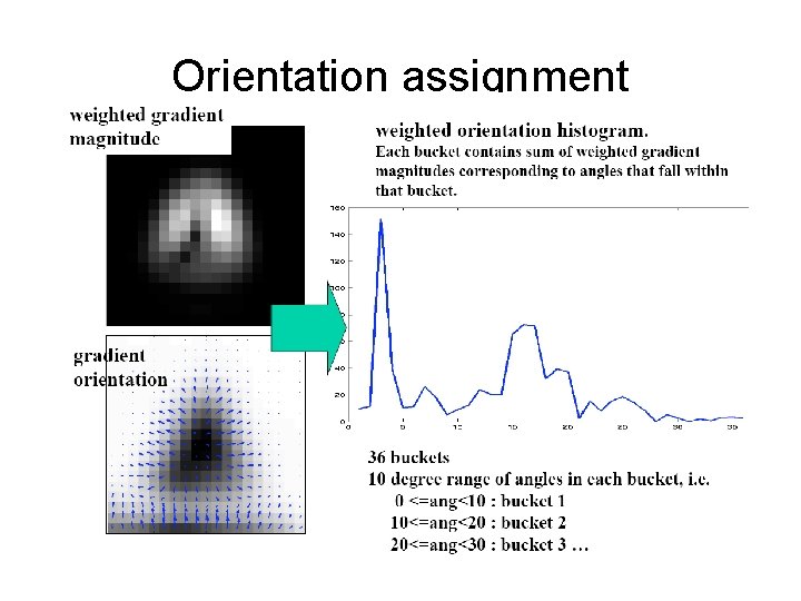 Orientation assignment 