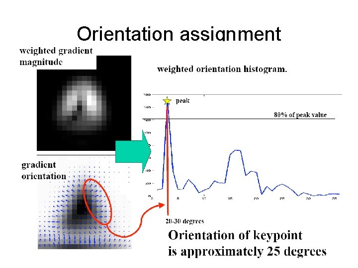 Orientation assignment 