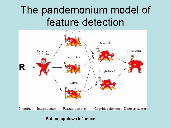 The pandemonium model of feature detection But no top-down influence. 