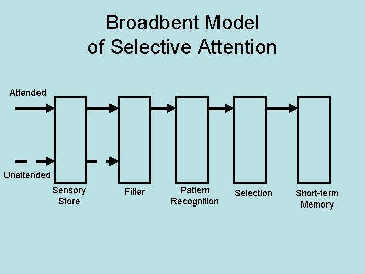 Broadbent Model of Selective Attention Attended Unattended Sensory Store Filter Pattern Recognition Selection Short-term
