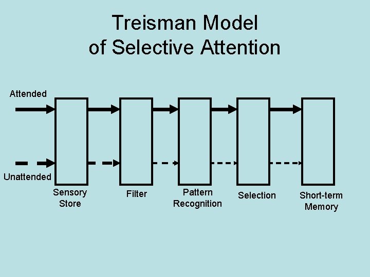 Treisman Model of Selective Attention Attended Unattended Sensory Store Filter Pattern Recognition Selection Short-term
