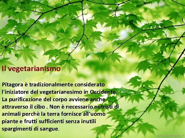 Il vegetarianismo Pitagora è tradizionalmente considerato l'iniziatore del vegetarianesimo in Occidente. La purificazione del