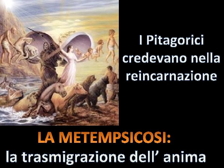 I Pitagorici credevano nella reincarnazione la trasmigrazione dell’ anima 