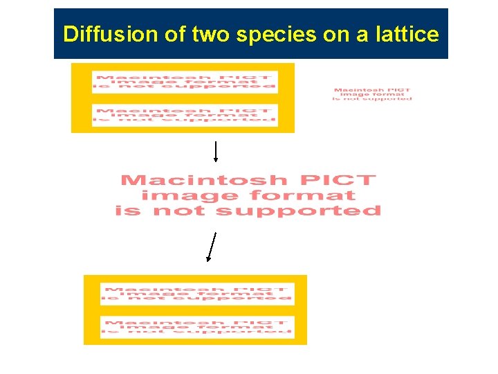 Diffusion of two species on a lattice Diffusion of two species on a lattice