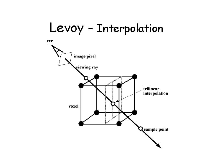 Levoy - Interpolation 