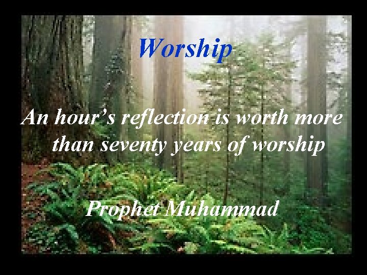 Worship An hour’s reflection is worth more than seventy years of worship Prophet Muhammad