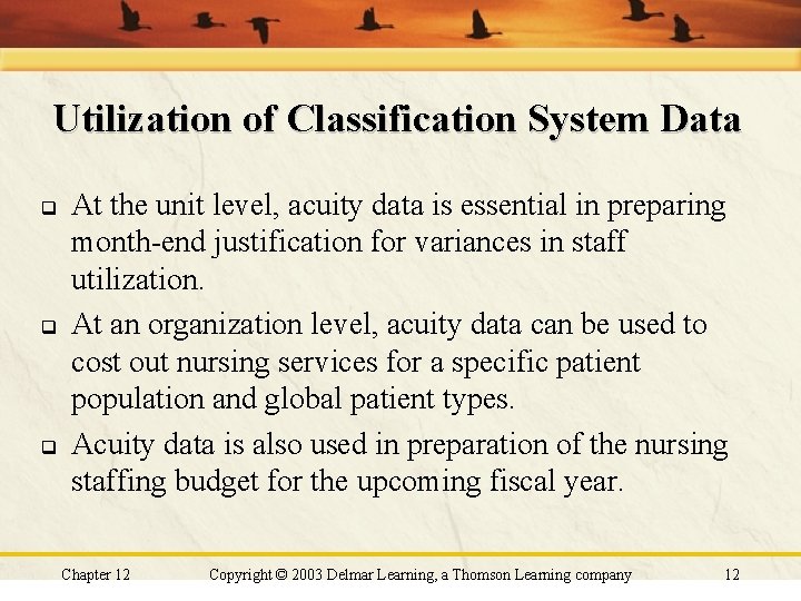 Utilization of Classification System Data q q q At the unit level, acuity data Utilization of Classification System Data q q q At the unit level, acuity data
