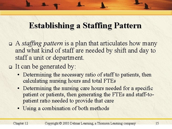 Establishing a Staffing Pattern q q A staffing pattern is a plan that articulates Establishing a Staffing Pattern q q A staffing pattern is a plan that articulates