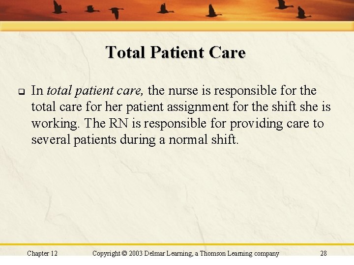 Total Patient Care q In total patient care, the nurse is responsible for the Total Patient Care q In total patient care, the nurse is responsible for the