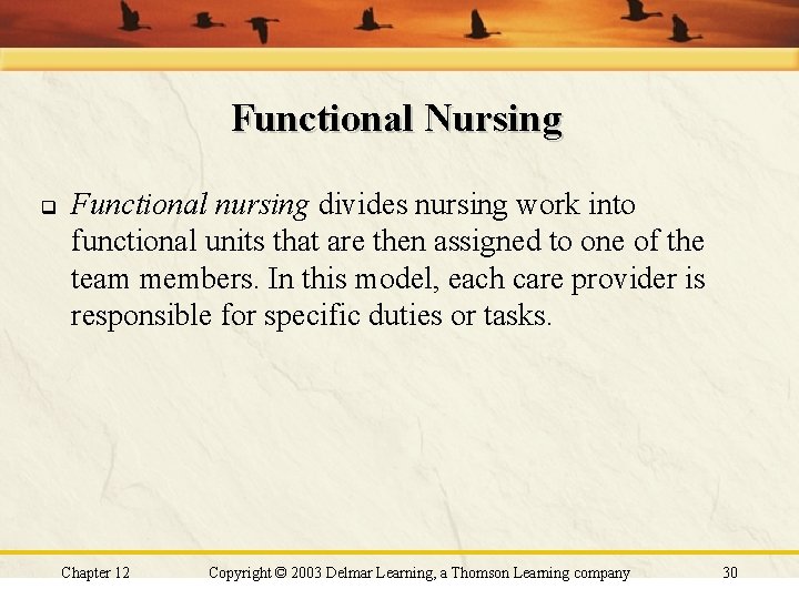 Functional Nursing q Functional nursing divides nursing work into functional units that are then Functional Nursing q Functional nursing divides nursing work into functional units that are then
