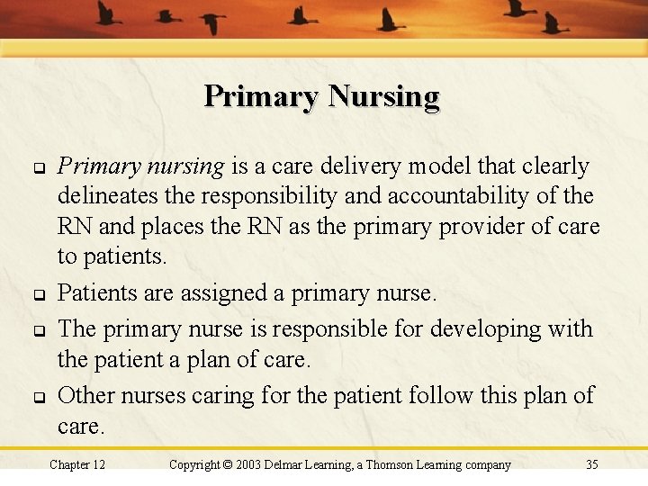 Primary Nursing q q Primary nursing is a care delivery model that clearly delineates Primary Nursing q q Primary nursing is a care delivery model that clearly delineates