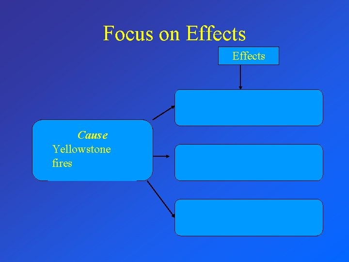 Focus on Effects Cause Yellowstone fires 