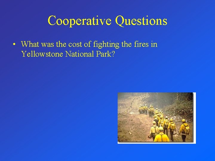 Cooperative Questions • What was the cost of fighting the fires in Yellowstone National