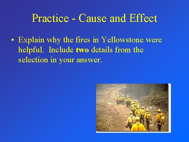 Practice - Cause and Effect • Explain why the fires in Yellowstone were helpful.