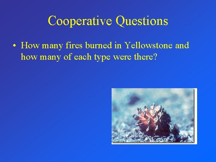 Cooperative Questions • How many fires burned in Yellowstone and how many of each