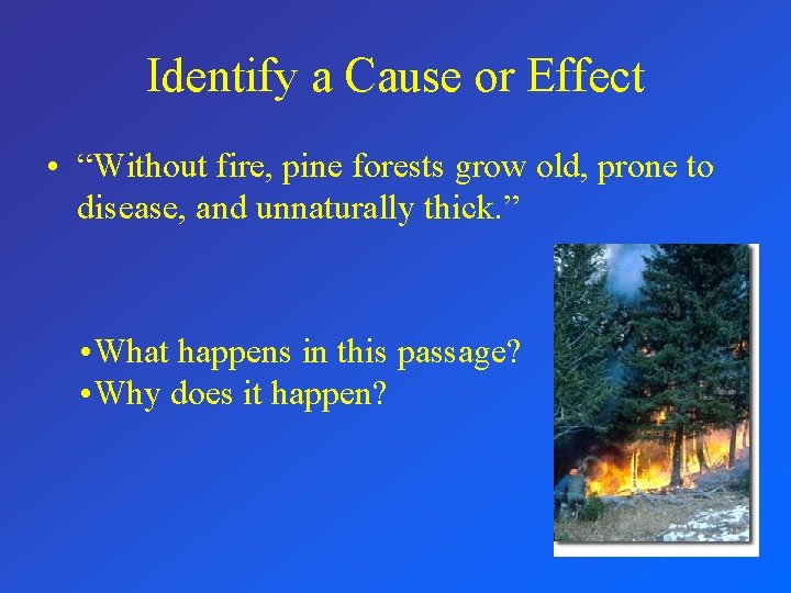 Identify a Cause or Effect • “Without fire, pine forests grow old, prone to