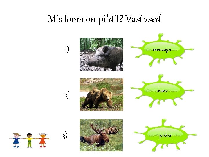 Mis loom on pildil? Vastused 1) metssiga 2) karu 3) põder 