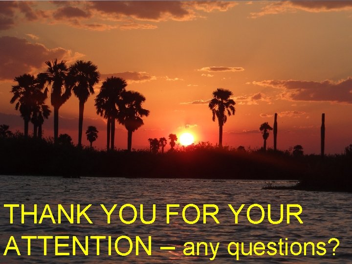 THANK YOU FOR YOUR ATTENTION – any questions? 