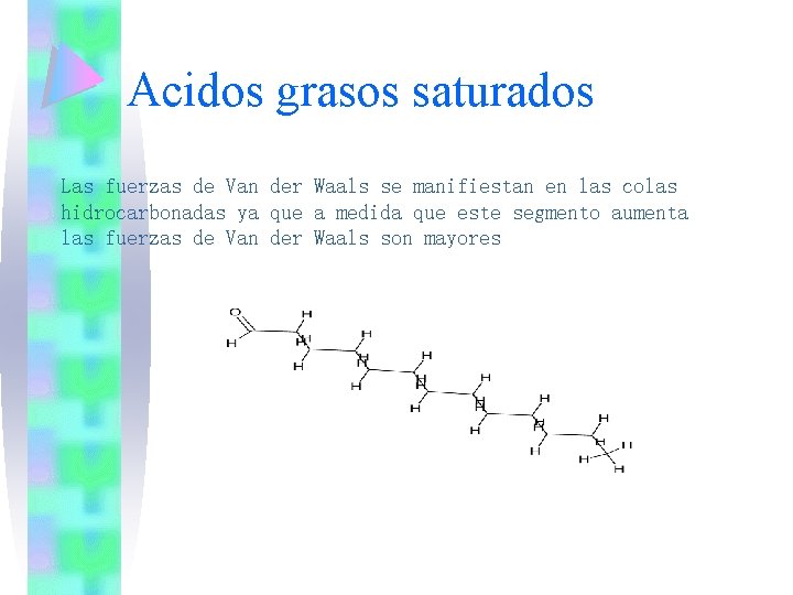 Acidos grasos saturados Las fuerzas de Van der Waals se manifiestan en las colas