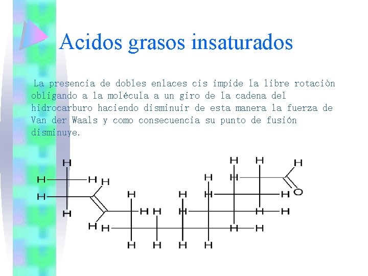 Acidos grasos insaturados La presencia de dobles enlaces cis impide la libre rotaciòn obligando