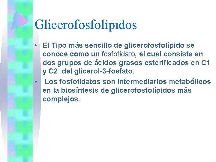 Glicerofosfolípidos • El Tipo más sencillo de glicerofosfolípido se conoce como un fosfotidato, el