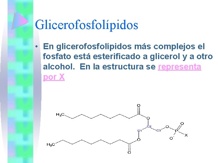 Glicerofosfolípidos • En glicerofosfolípidos más complejos el fosfato está esterificado a glicerol y a