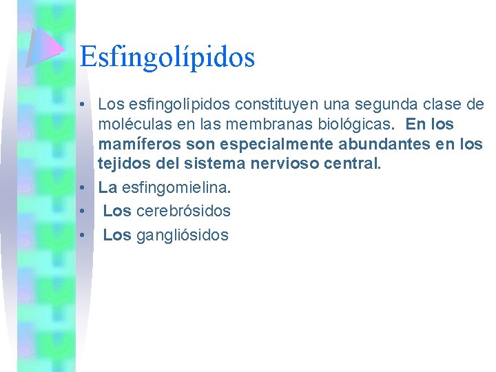 Esfingolípidos • Los esfingolípidos constituyen una segunda clase de moléculas en las membranas biológicas.