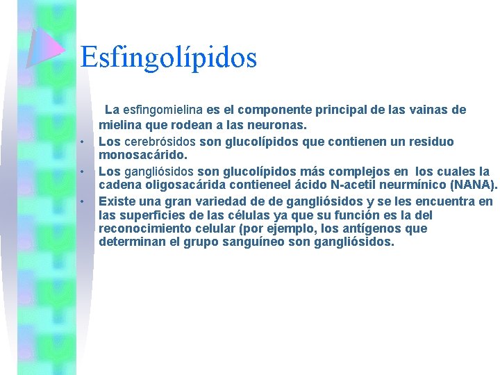Esfingolípidos • • • La esfingomielina es el componente principal de las vainas de