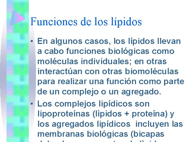 Funciones de los lípidos • En algunos casos, los lípidos llevan a cabo funciones