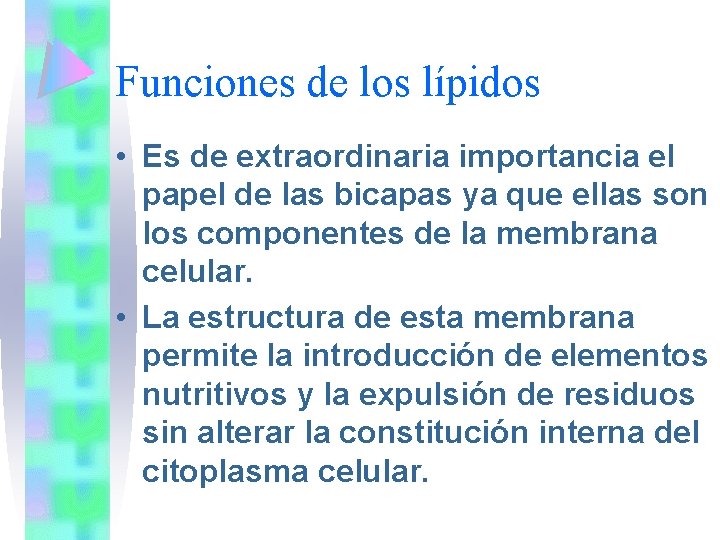 Funciones de los lípidos • Es de extraordinaria importancia el papel de las bicapas