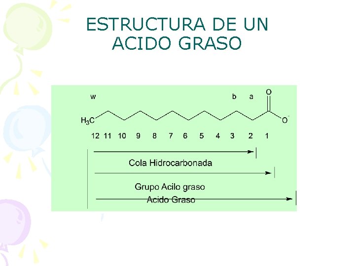 ESTRUCTURA DE UN ACIDO GRASO 