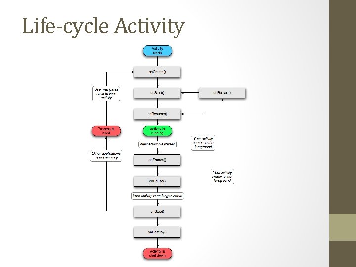 Life-cycle Activity 