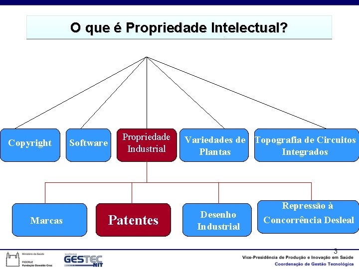 O que é Propriedade Intelectual? Copyright Software Marcas Propriedade Industrial Patentes Variedades de Topografia
