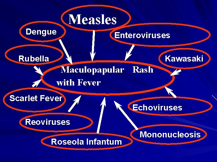 Dengue Measles Enteroviruses Rubella Kawasaki Maculopapular Rash with Fever Scarlet Fever Echoviruses Reoviruses Roseola