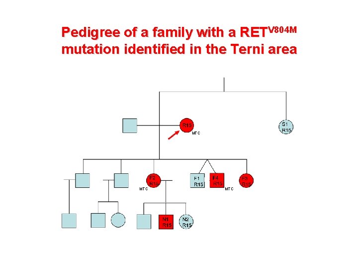Pedigree of a family with a RETV 804 M mutation identified in the Terni