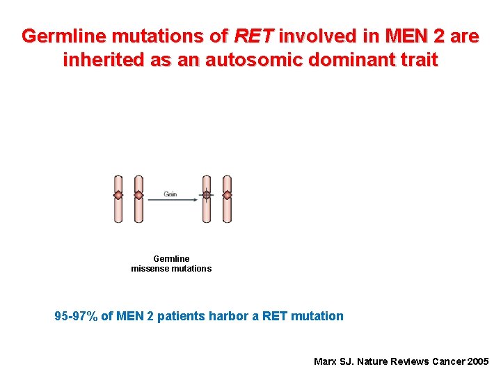 Germline mutations of RET involved in MEN 2 are inherited as an autosomic dominant