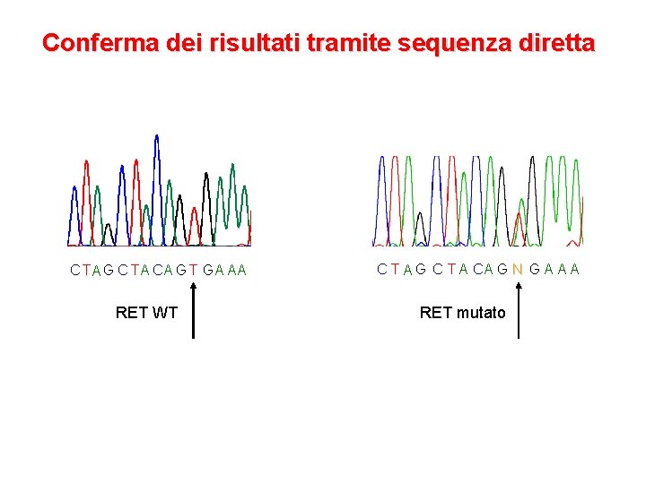 Conferma dei risultati tramite sequenza diretta C TA G C TA CA G T