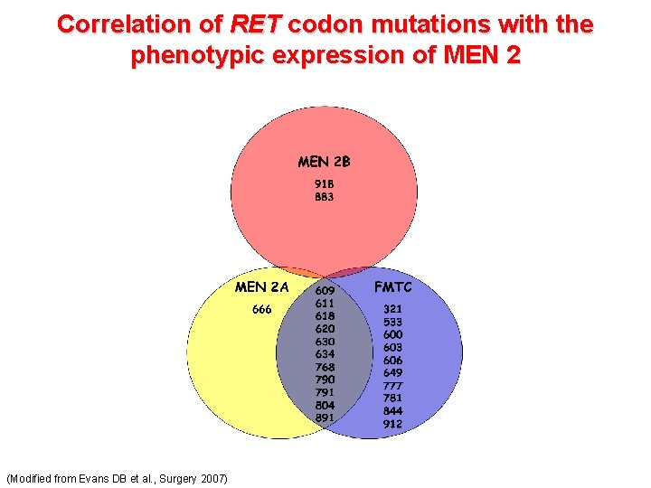 Correlation of RET codon mutations with the phenotypic expression of MEN 2 (Modified from