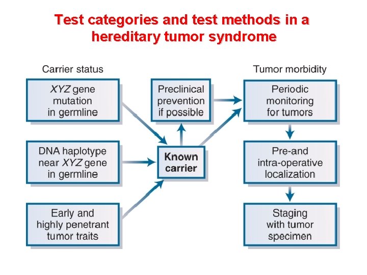Test categories and test methods in a hereditary tumor syndrome 