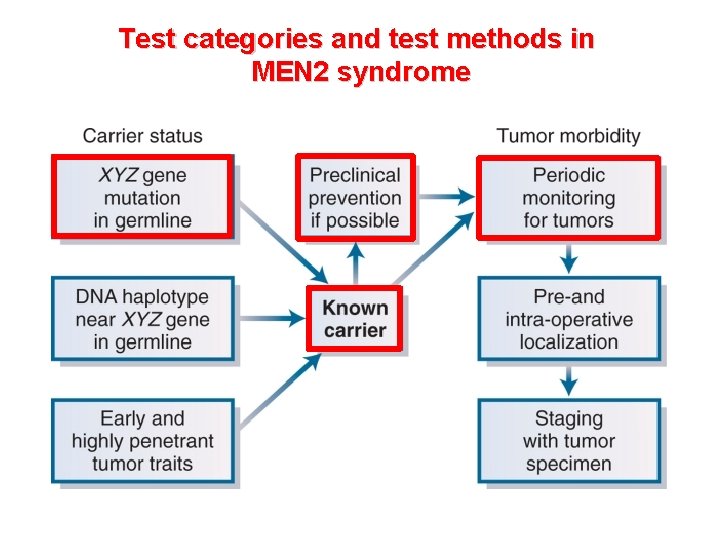 Test categories and test methods in MEN 2 syndrome 