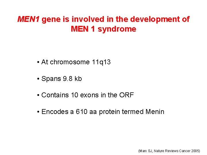 MEN 1 gene is involved in the development of MEN 1 syndrome • At