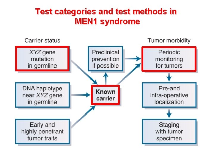Test categories and test methods in MEN 1 syndrome 