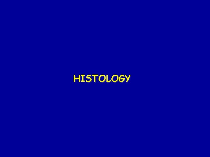 HISTOLOGY 