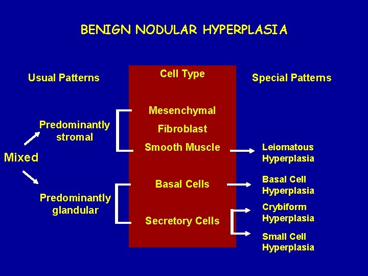 BENIGN NODULAR HYPERPLASIA Usual Patterns Cell Type Special Patterns Mesenchymal Predominantly stromal Mixed Predominantly
