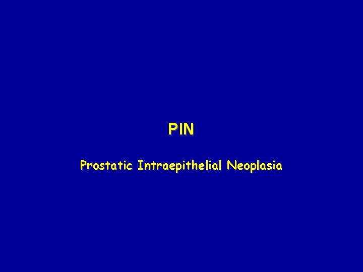 PIN Prostatic Intraepithelial Neoplasia 
